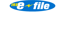 Authorized E-File Provider